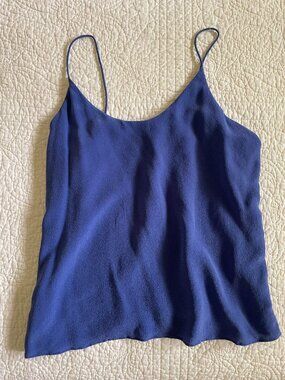 Everlane Cobalt Blue Lined Silk Camisole